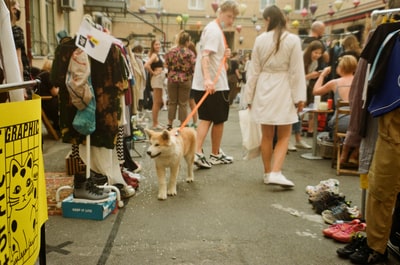 白天穿着白大褂的女人牵着棕色的狗在街上散步